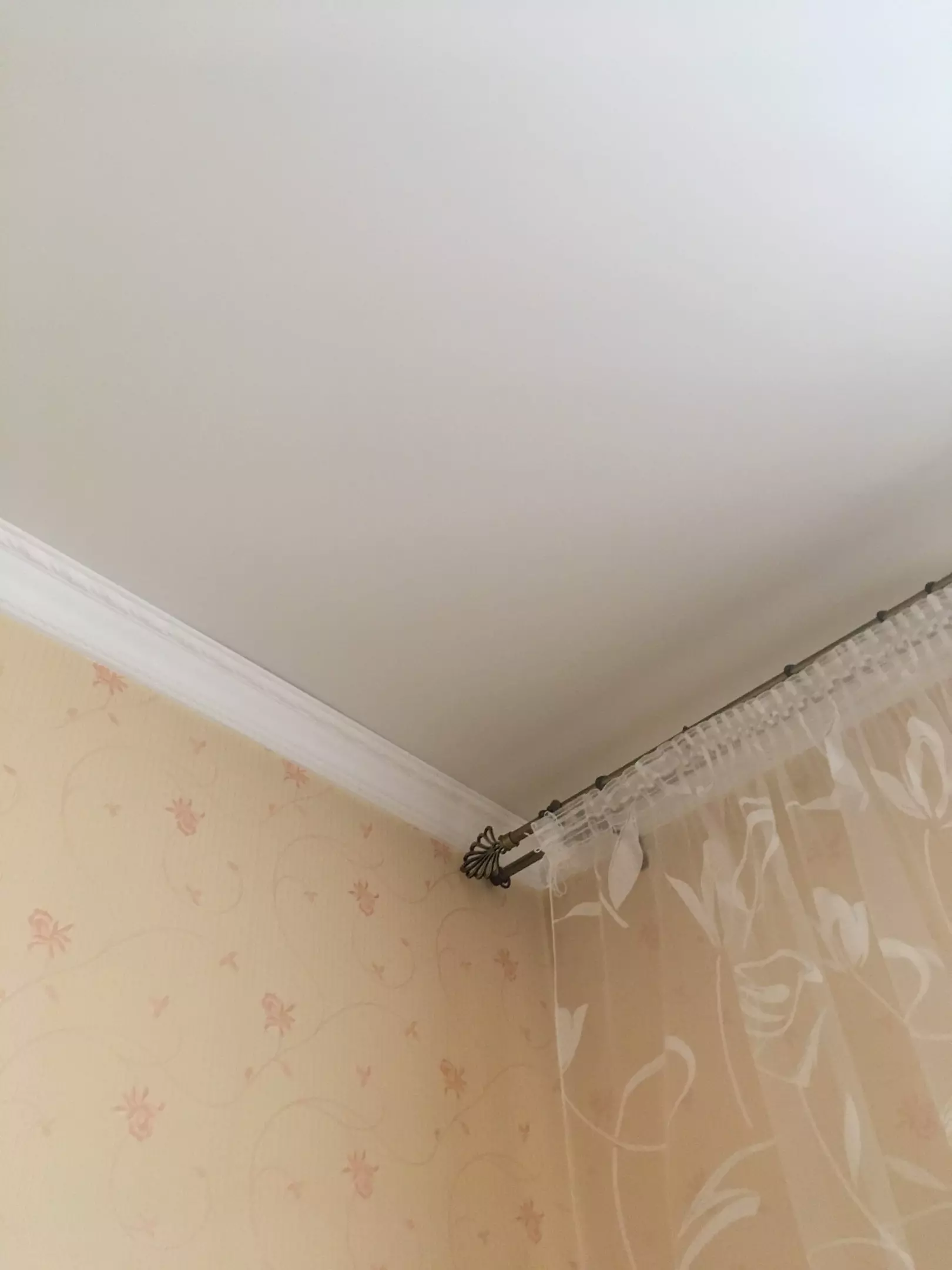 Сочи, Курортный проспект, 59, фото 1