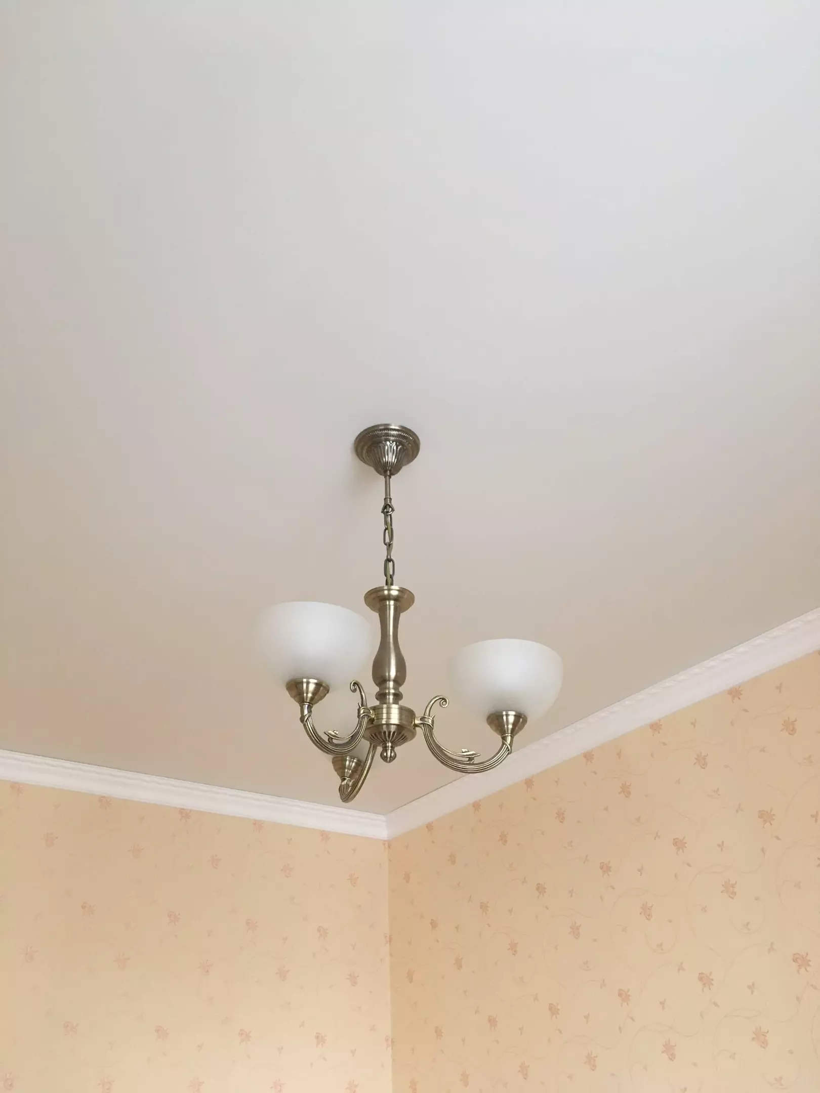 Сочи, Курортный проспект, 59, фото 2