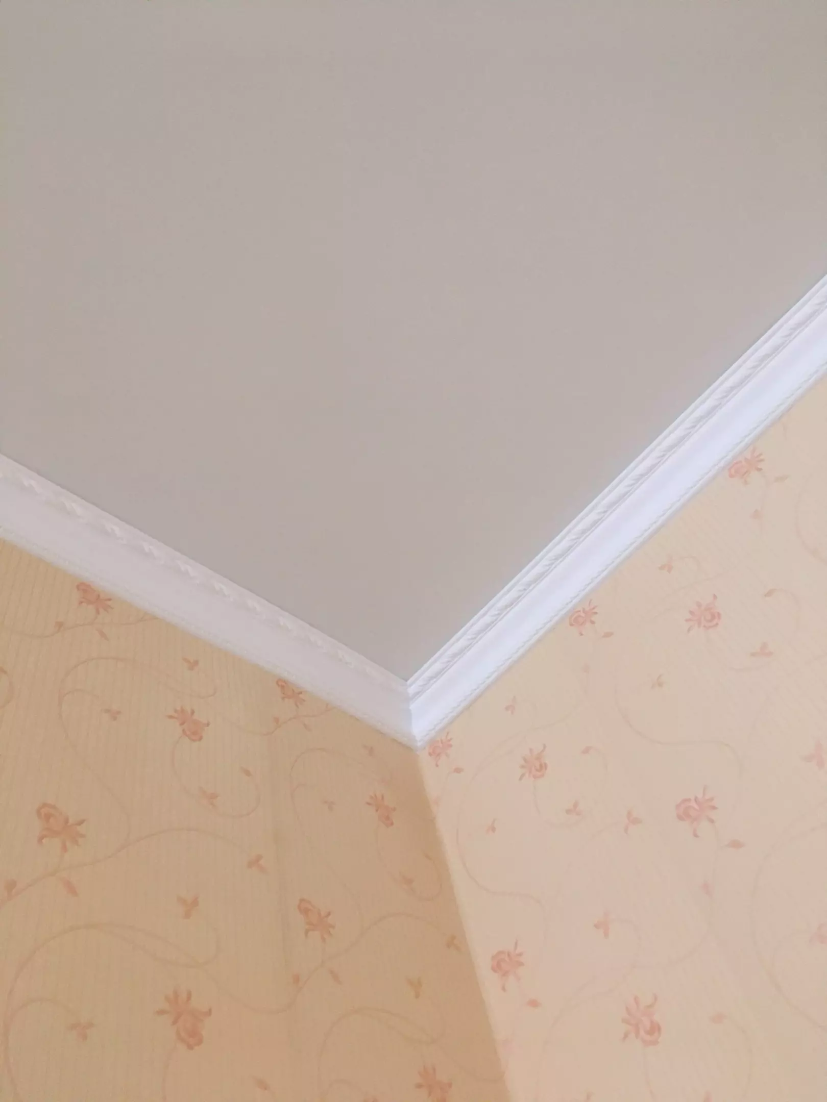 Сочи, Курортный проспект, 59, фото 3