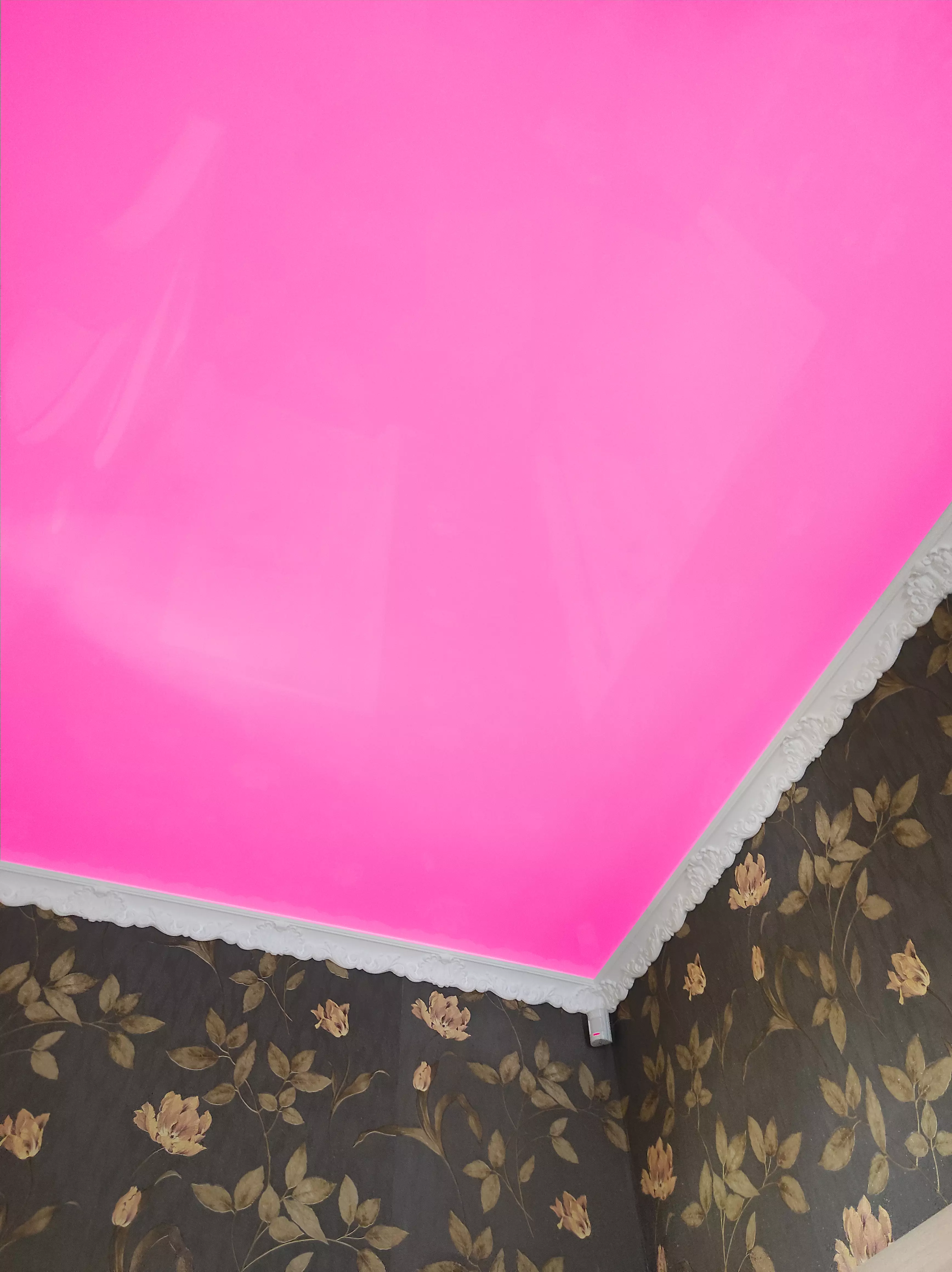 Хабаровск, Калинина, 109, фото 2