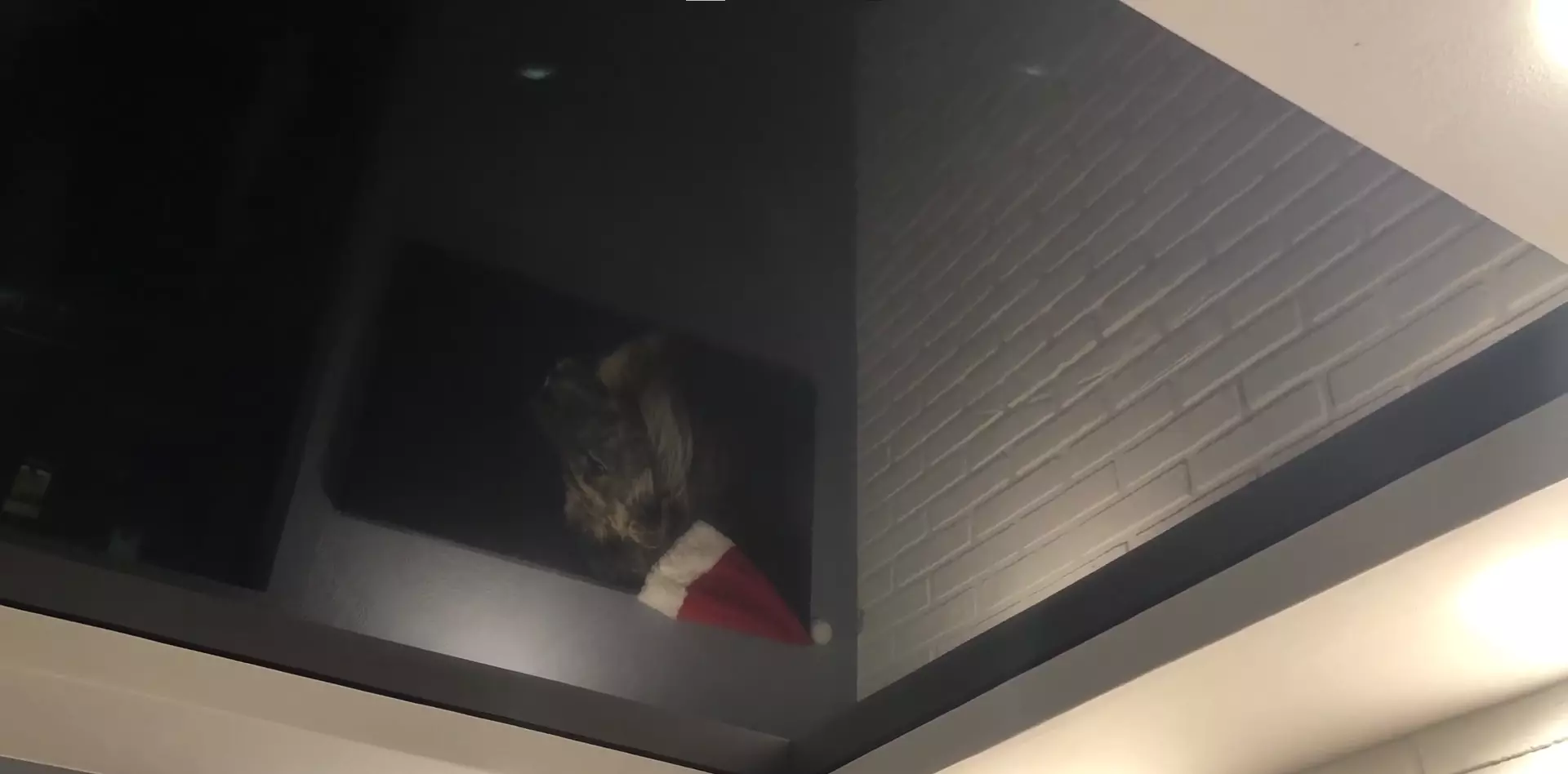 Королёв, Комитетский лес, 1а, фото 3