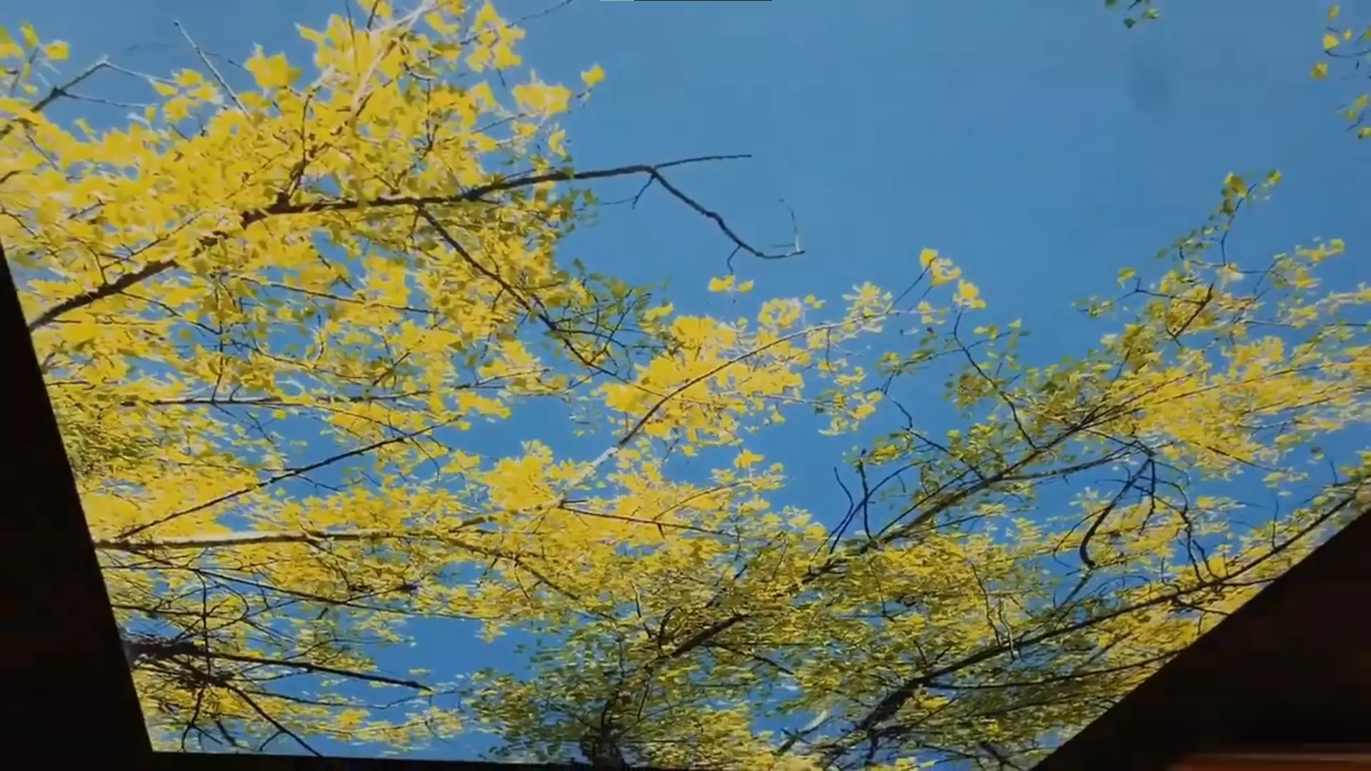 Хабаровск, Краснореченская, 161, фото 2