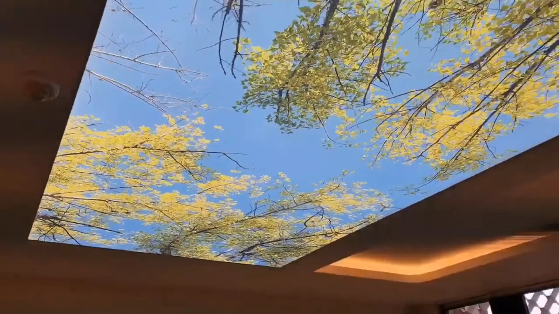 Хабаровск, Краснореченская, 161, фото 3